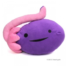 i heart guts kidney plush